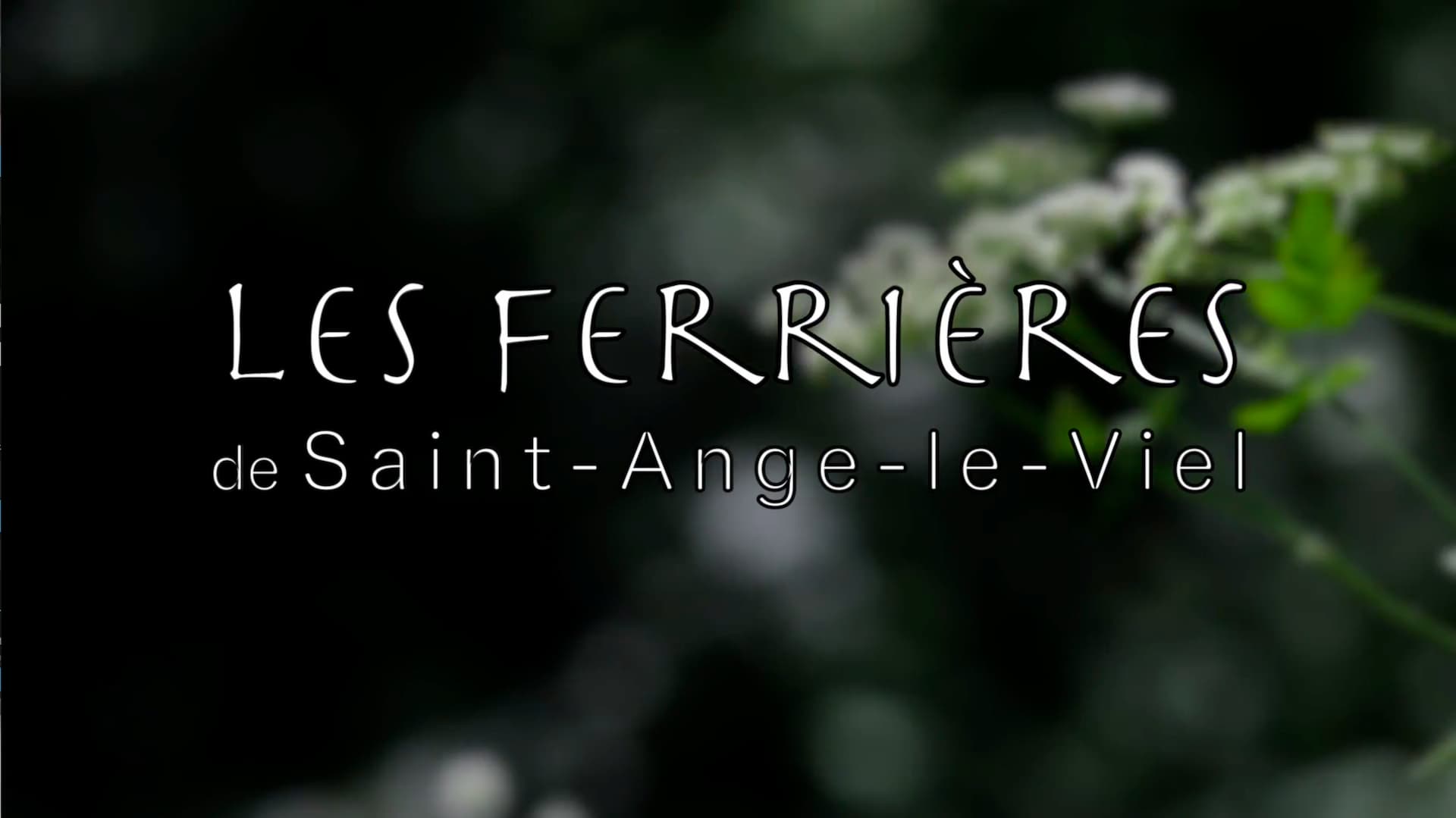 Les Ferrières de St-Ange-Le-Viel